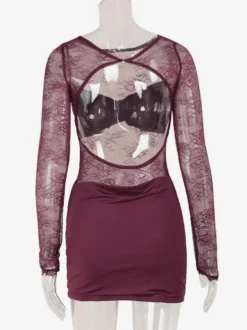 Robe mini en dentelle transparente froncée pour femme - Robe moulante sexy à dos nu et découpes - Soirée d'été en boîte de nuit 2026