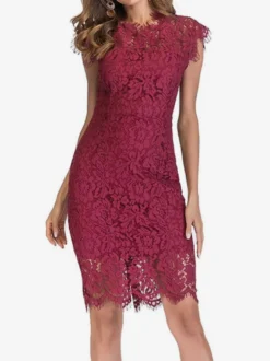 Robe moulante en dentelle pour anniversaire sans manches décolleté conçu robe fourreau mi-longue robe crayon décontractée 2026