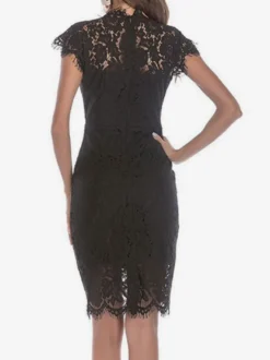 Robe moulante en dentelle pour anniversaire sans manches décolleté conçu robe fourreau mi-longue robe crayon décontractée 2026