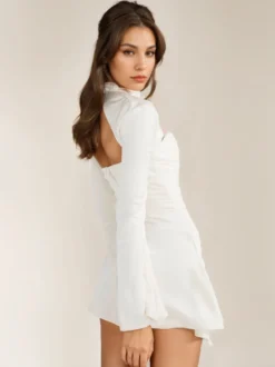 Robes De Soirée Robe Semi-Formelle Col Haut Plissée À Manches Longues