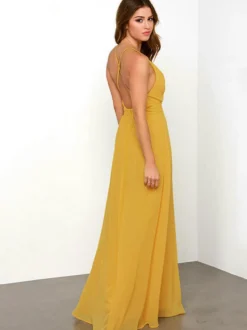 Robe sexy plongeante dos nu bretelles spaghetti robes de bal maxi