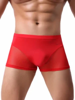 Short de boxe sexy en nylon semi-transparent pour hommes