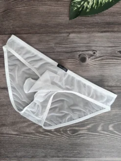 Slip transparent en maille fine pour homme taille basse avec poche éléphant respirant et sexy.
