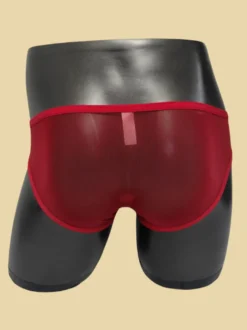 Slip transparent en maille fine pour homme taille basse avec poche éléphant respirant et sexy.