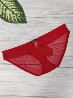 Slip transparent en maille fine pour homme taille basse avec poche éléphant respirant et sexy.