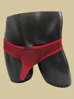 Slip transparent en maille fine pour homme taille basse avec poche éléphant respirant et sexy.