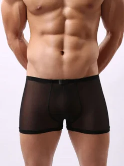Sous-vêtement Lingerie Sexy Homme Culottes Elastique Transparentes Unicolore Blanc Sexy