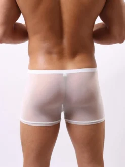 Sous-vêtement Lingerie Sexy Homme Culottes Elastique Transparentes Unicolore Blanc Sexy