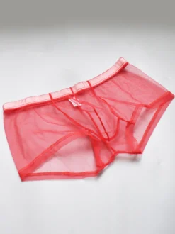 Sous-vêtements Lingerie Homme Lingerie Homme Sexy Culotte Transparente Ture Rouge Lingerie