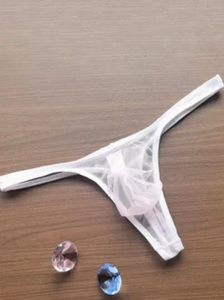Sous-vêtements pour hommes culotte sexy noire transparente string