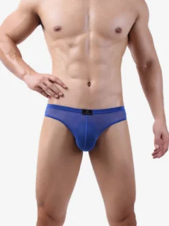 Sous-vêtements string en maille transparente pour hommes taille basse avec poche avant sexy.