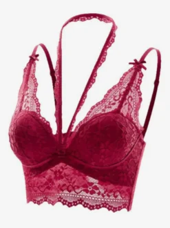 Soutien-gorge en dentelle à col halter brassière transparente avec décolleté en V profond et bordure festonnée