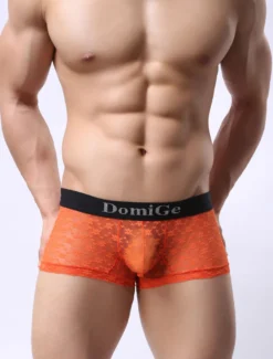 String homme sexy en nylon clair